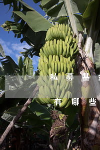 私募基金的創(chuàng)新融資方式有哪些？